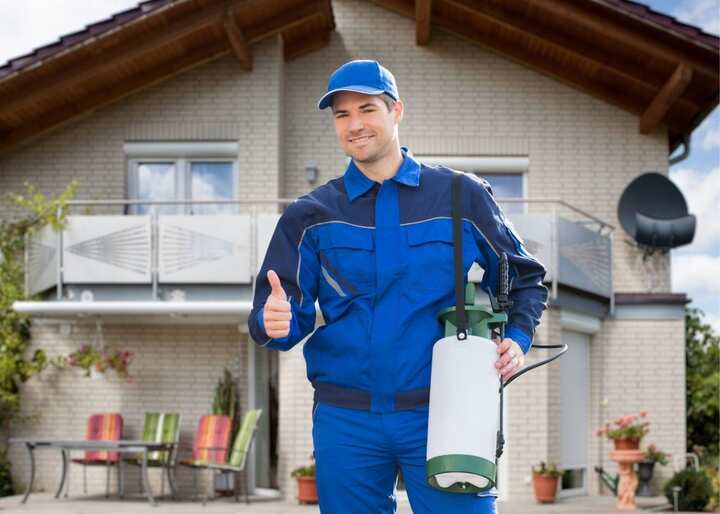 wildlife removal south florida fl